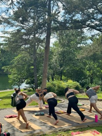 Lezioni di Yoga Singoli/Coppia/Gruppi - Foto 3