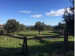 ALTAVILLA MILICIA - AM155 - Terreno SPORTIVO