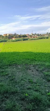 Agricolo in Via Nazareno Strampelli - Foto 2