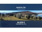 Immobile in asta di 37170 m² in vendita a Baschi