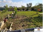 Agricolo in Via Federico Bazzini