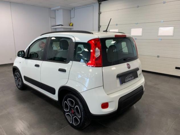FIAT Panda 1.0 Benzina Hybrid City Life rif. 24052160 - Foto 6
