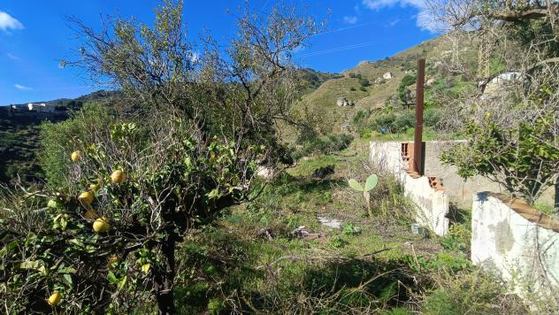 Terreno Agricolo - Messina . Rif.: Cod. rif 3302742VCG - Foto 14