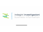 INVESTIGATORE PRIVATO