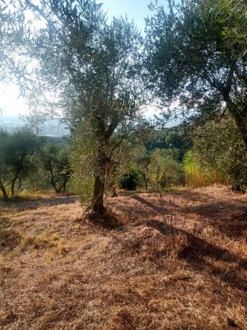 Piano di recupero Panoramico - Foto 7