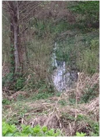 Immobile in asta di 29309 m² in vendita a Cerea - Foto 7