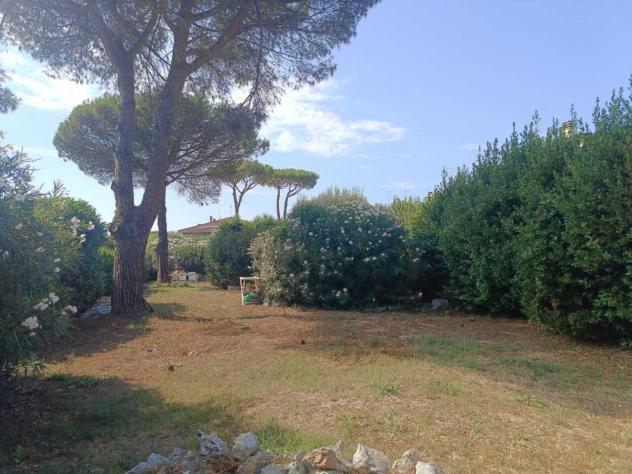 Seminativo in vendita a Cerveteri