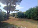 Seminativo in vendita a Cerveteri