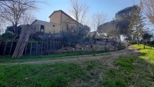 Casa singola in vendita a San Miniato 200 mq Rif: 1359298 - Foto 4