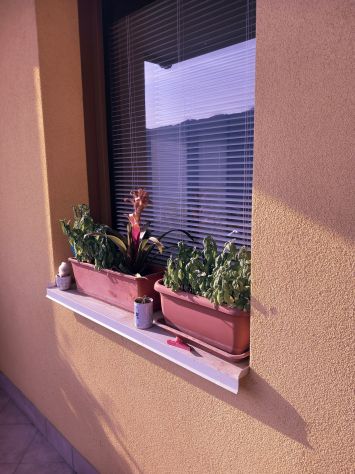 Collina MAGNIFICA con giardino