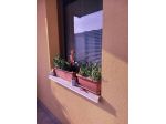 Collina MAGNIFICA con giardino