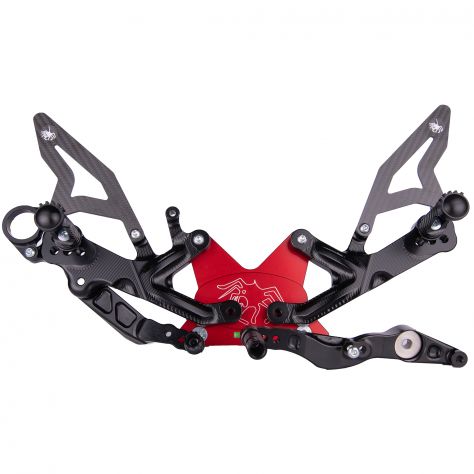 Centralina Rapid Bike Bmw S 1000 RR cambio elettronico Healtech - Foto 10