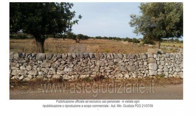 IMMOBILI-ALTRA CATEGORIA-Contrada Aurnia Brizza - Foto 5