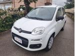 FIAT Panda 0.9 TwinAir Turbo 2 Posti - Doppia Alimentazione rif. 24001746