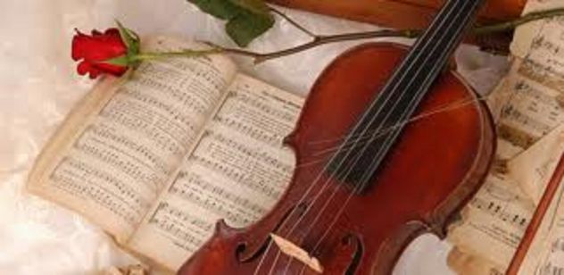 Violinista in zona Voghera, Valle Staffora, Varzi, Casteggio, Vigevano Pavia