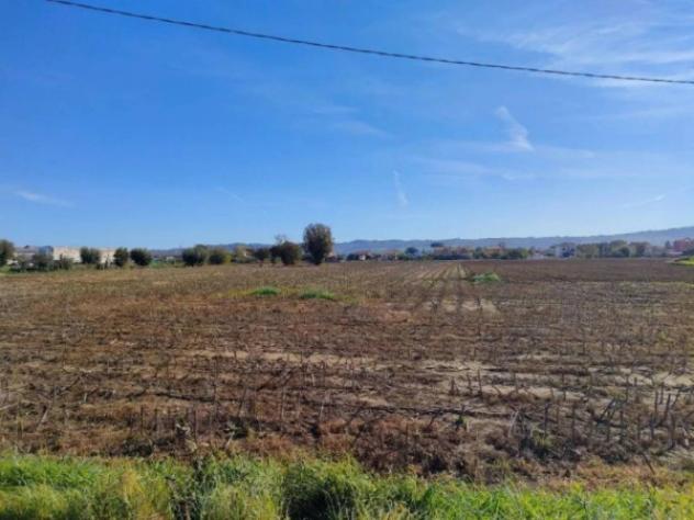 Immobile in asta di 2500 m² in vendita a Cartoceto - Foto 7