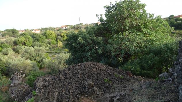Area verde in vendita a Mascalucia - Foto 10