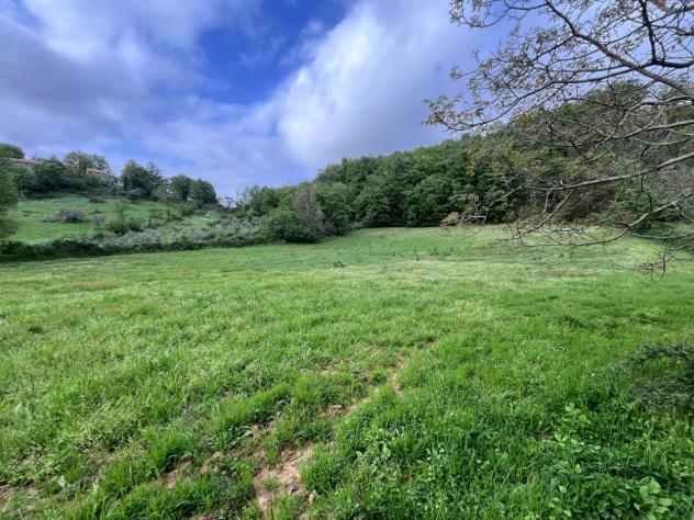 RUSTICO di 14 vani e di 400 mq (SORANO) rif. MONTEDONDO240 - Foto 4