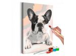 Quadro Fai Da Te 40x60 Cm. Animali N. 30 ARREDALACASA Spedizione Gratis