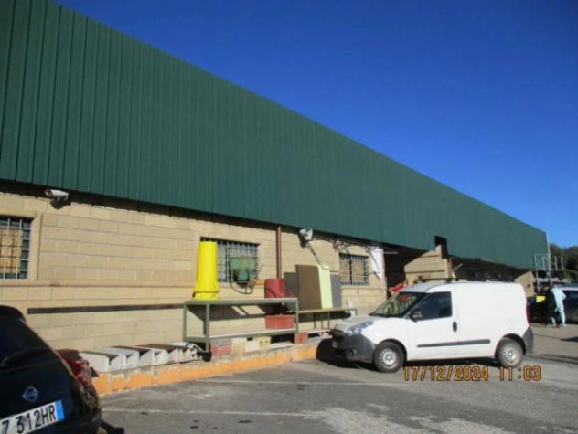Immobile in asta di 1672 m² in vendita a Cori - Foto 8