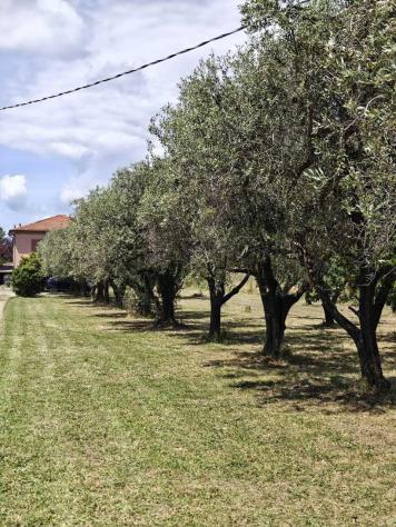 Villa in vendita a San Lazzaro - Sarzana 220 mq Rif: 1430849 - Foto 2