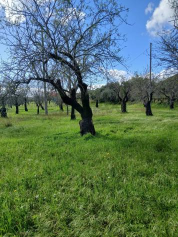 Terreno Edificabile in vendita a Avola - Foto 16