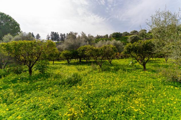 Agricolo in vendita a Catania - Foto 11