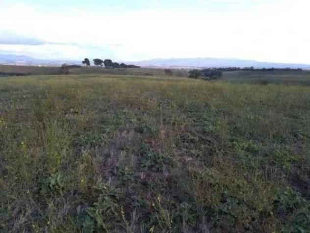 Immobile in asta di 281311 m² in vendita a Guidonia Montecelio - Foto 6