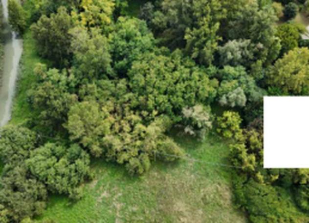 Immobile in asta di 49900 m² in vendita a Mantova - Foto 8