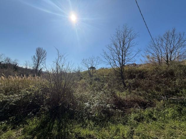 Agricolo in Contrada Pezze - Foto 5