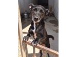 MINNIE 4 ANNI 6/7 KG taglia piccola