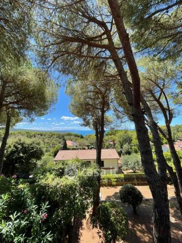 Livorno vendesi villa 6 vani 290 Mq
