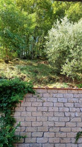 Casa semindipendente in vendita a Semproniano 90 mq Rif: 1451305 - Foto 5