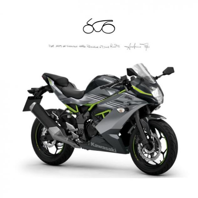 KAWASAKI NINJA 125 ABS . rif. 22843839