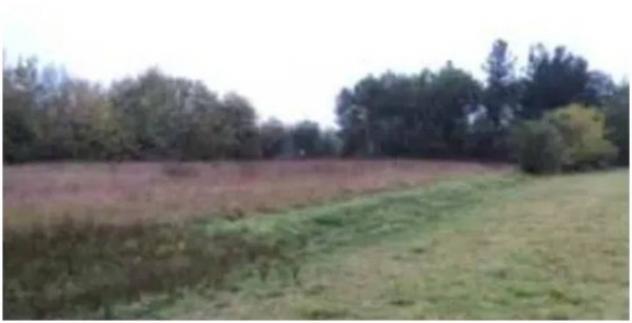 Immobile in asta di 36620 m² in vendita a Fucecchio - Foto 3