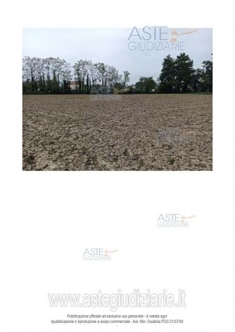IMMOBILI-ALTRA CATEGORIA-Via Santa Maria Apparve, 60010 Ostra AN, Italia - Foto 3