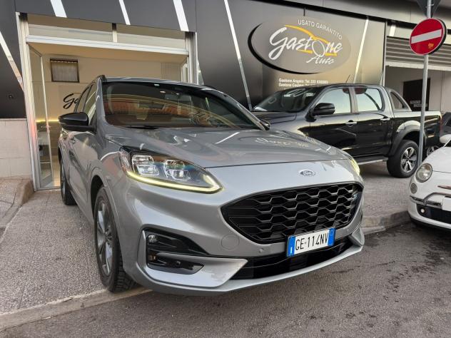 Ford Kuga 1.5 EcoBlue 120 CV ST-Line X