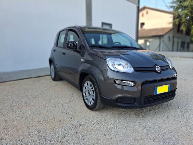 Fiat Panda 1.0 Hybrid - Foto 5