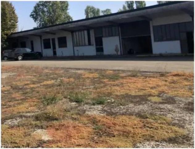 Immobile in asta di 5852 m² in vendita a Sissa Trecasali - Foto 13