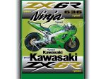 Kit Adesivi KAWASAKI Ninja ZX-6R anno 2003-2004