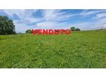 Terreno agricolo in vendita a Capannoli 1100 mq  Rif: 1413520