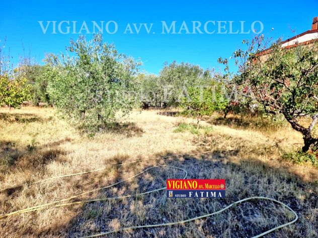 FOGGIA - VENDESI - SALICE VECCHIO - FABBRICATO SU 2 LIVELLI DI MQ.240 + TERRENO - Foto 10