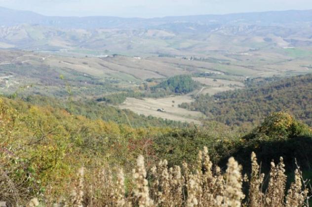 Immobile in asta di 1900000 m² in vendita a Piancastagnaio - Foto 12