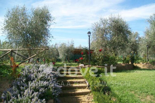 Rustico / Casale di 500 m² con più di 5 locali in vendita a Pienza - Foto 20