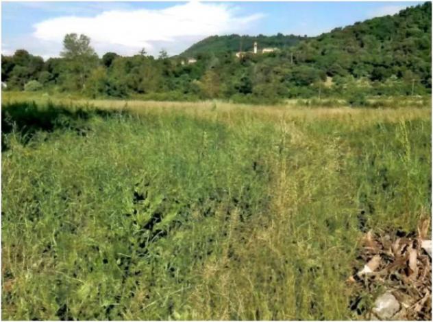 Immobile in asta di 18225 m² in vendita a Teolo - Foto 3