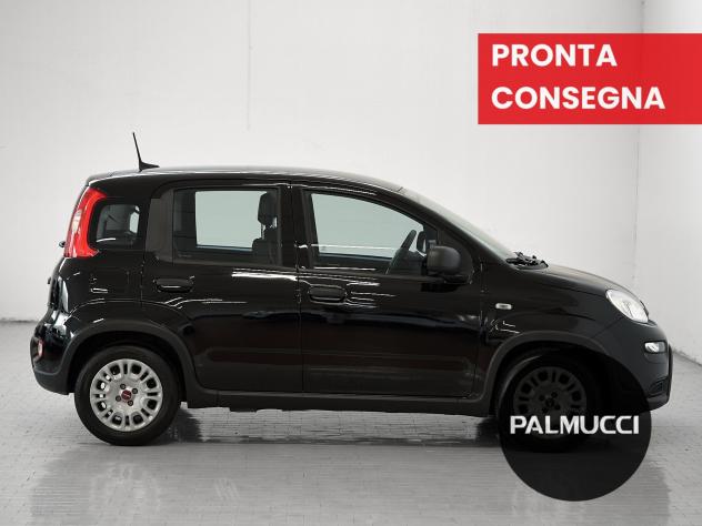 FIAT Panda Panda 1.0 firefly hybrid s&s 70cv - Foto 5