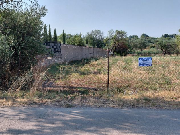VENDITA TERRENO CON PICCOLO FABBRICATO- LOCALITA' SALICE - Foto 10