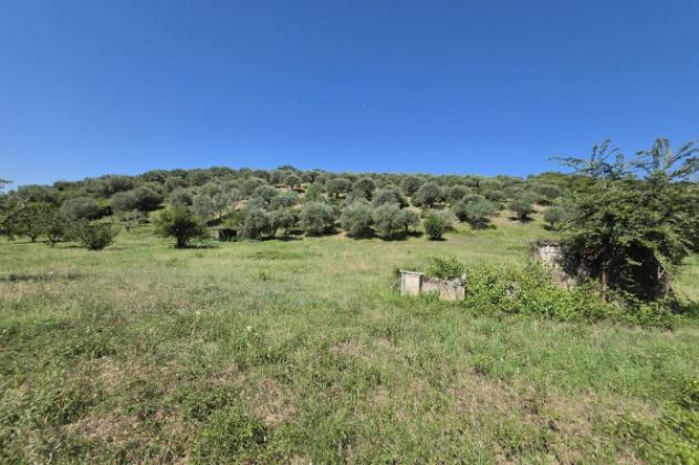 Terreno di 12000 m² in vendita a Guidonia Montecelio - Foto 4