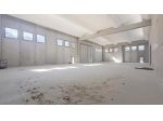 Capannone industriale in affitto a Borgo a Mozzano 4120 mq  Rif: 1276647