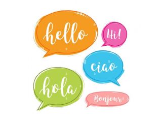Ripetizioni inglese francese italiano
